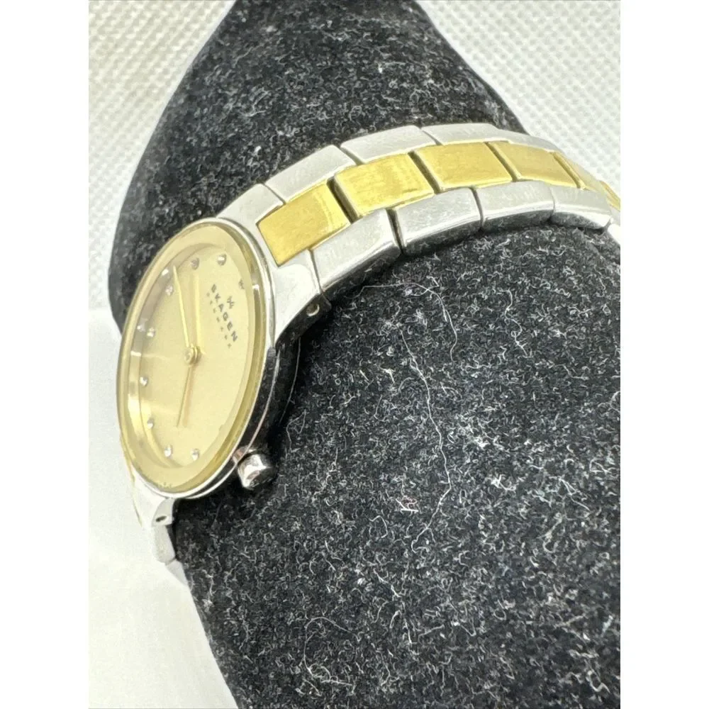 Skagen SKW2090 Women's Two Tone Stainless Steel Analog Dial Quartz Watch JNA966